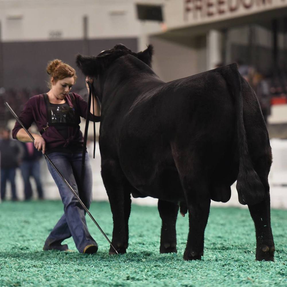 Meet your Posher, Amanda